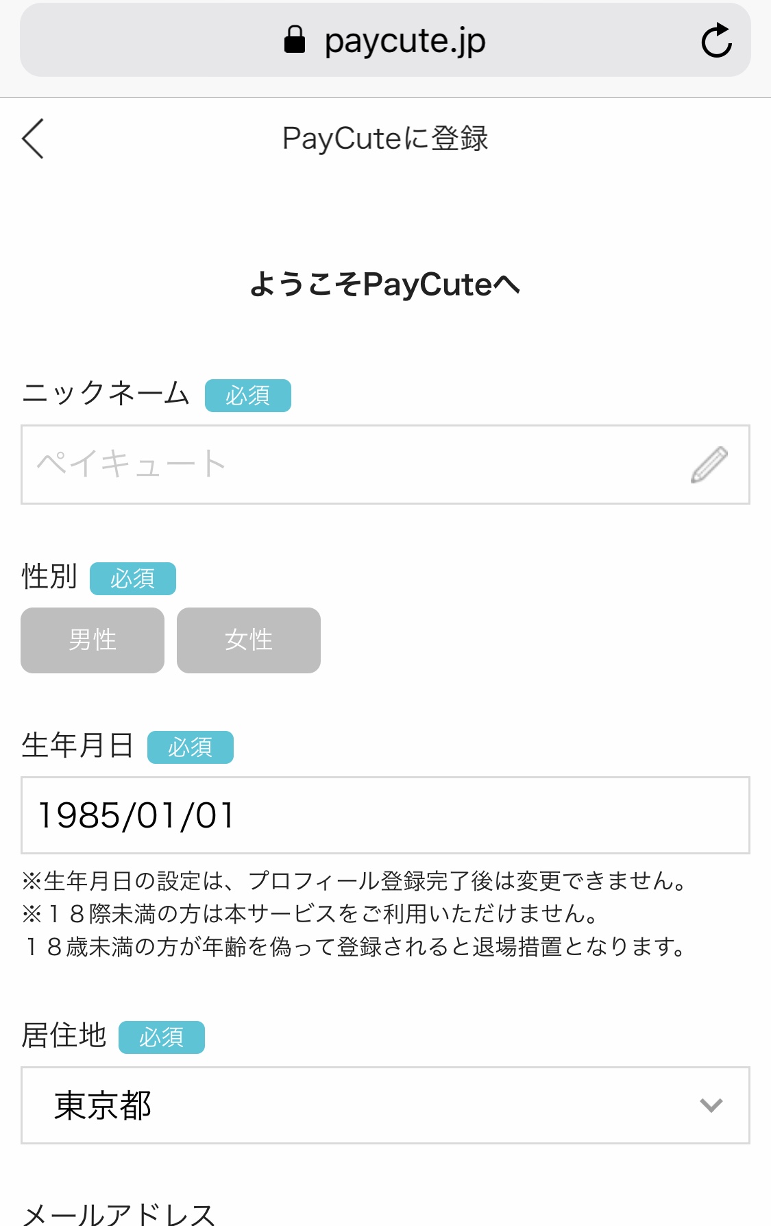 PayCute(ペイキュート) 登録 プロフィール登録画面
